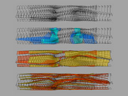 Housing at the River Plate-plan - field mapping