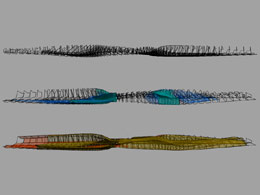 Housing at the River Plate-elevation - field mapping